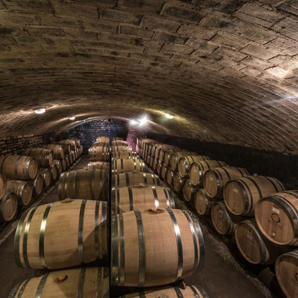 DAO-wine-cellar
