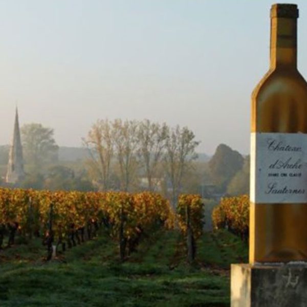 CDA-vineyard-n-bottle
